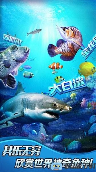 全民钓鱼2官方正版