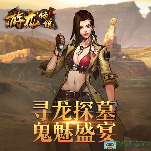 游龙传说九游版