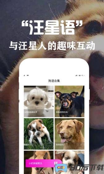 狗语翻译交流器app