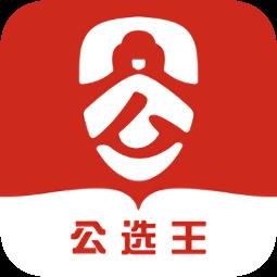 公选王软件