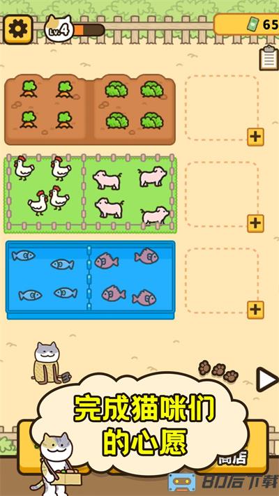 爱旅行的小猫咪