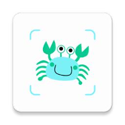 看鱼