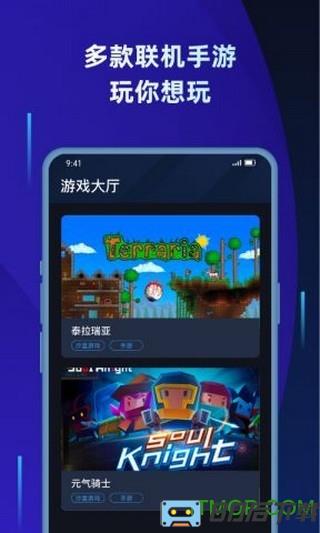 泰拉瑞亚联机平台手机版(蒲公英联机平台)