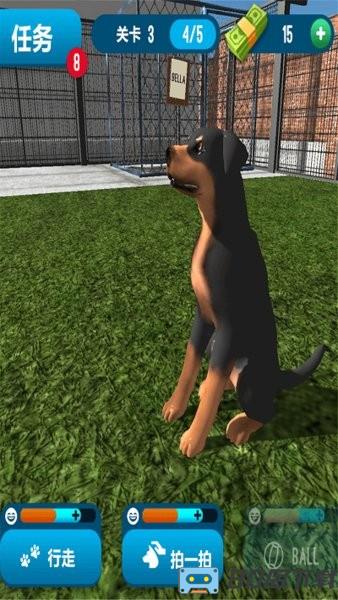 动物收容所模拟器手游