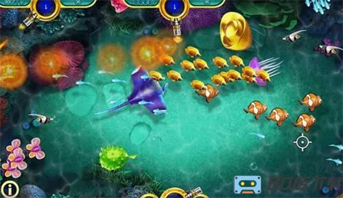 李逵捕鱼手机版平台