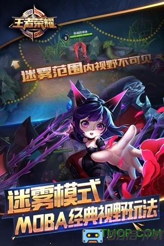 王者荣耀流畅版