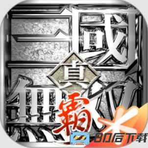 真・三国无双霸