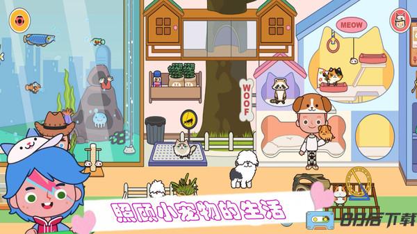 猫狗宠物美容院