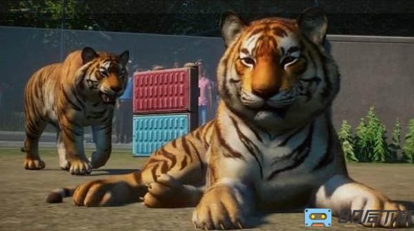 动物园之星游戏手机版