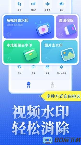 视频去水印达人