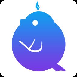 音壳音乐学院(音壳乐理app)