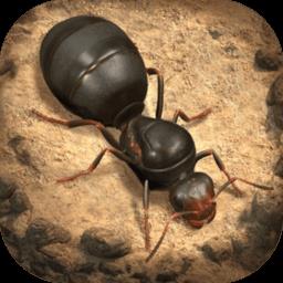 蚂蚁地下王国(The Ants)手游