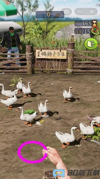 天天套圈小游戏