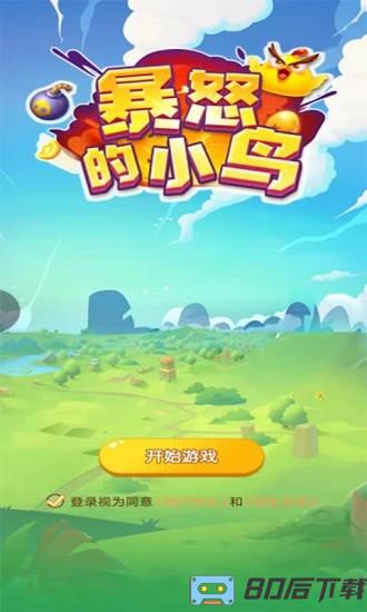 暴怒的小鸟游戏