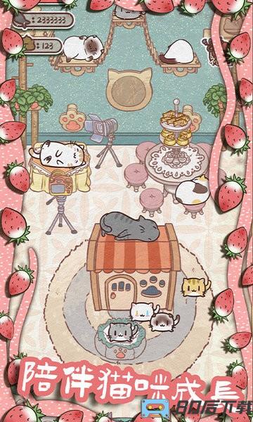 开心猫舍游戏测试版
