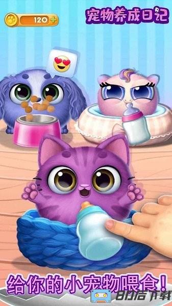 宠物养成日记