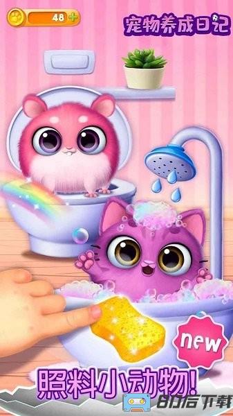 宠物养成日记