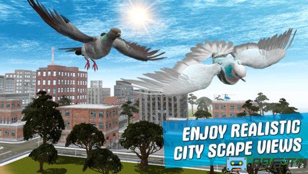 城市鸽子模拟器中文版