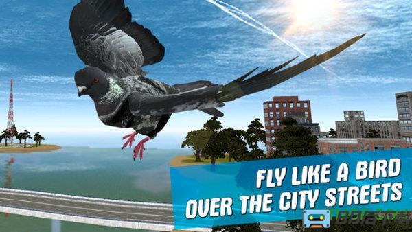 城市鸽子模拟器中文版