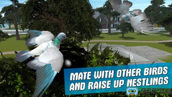 城市鸽子模拟器中文版