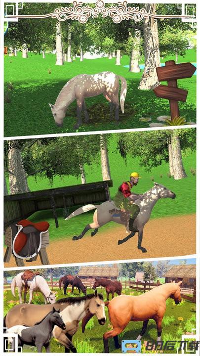 边境马术师游戏 边境马术师游戏下载