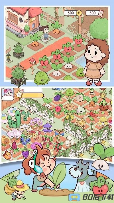 米加农场免费完整版