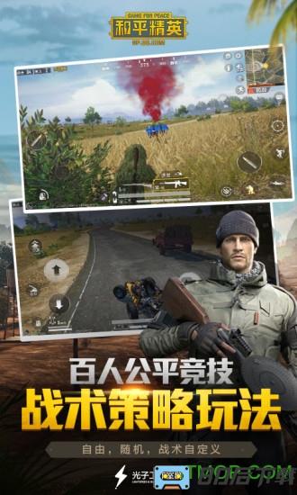 和平精英年兽版