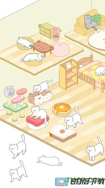 猫咪很可爱可是我是幽灵