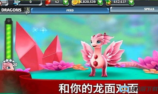 龙之驯兽师最新版