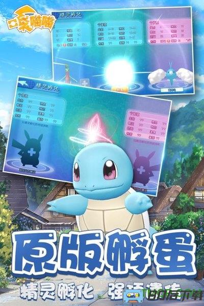 口袋喵喵
