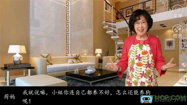 此生谁与初见橙光破解版