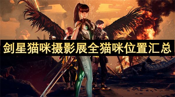 剑星猫咪摄影展全猫咪位置汇总 猫咪摄影展猫咪位置在哪里[多图]图片1