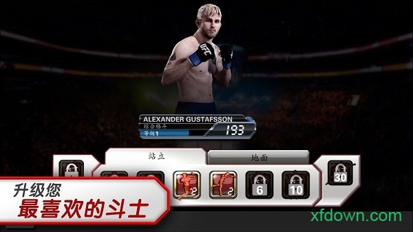 ufc终极格斗冠军赛2010完整手机版