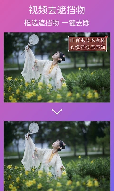 大神水印官方版下载